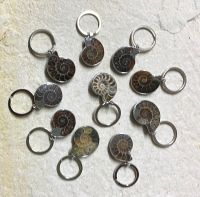 Ammonit - Schl�sselanh�nger - Metall - 30-40mm - 10 St.