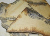 Dendriten Platte - Solnhofen - 20-35cm - 4,5kg - 5 St�ck  Karton