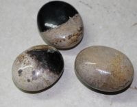 Versteinertes Palmholz - Seifensteine - Handschmeichler - 3 St.