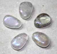 Angel Aura - Trommelsteine gebohrt - Anh�nger - 5 St�ck