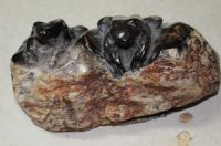Frosch Tier Figur - Versteinertes Holz - 17,5x10cm - Einzelst�ck