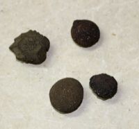 Pop Rocks - 15-20mm -  1 Paar