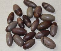 Shiva Lingam - 20-35mm - 25 St�ck