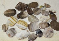 Versteinertes Holz - Freeform Scheibe - 5 St�ck - Aktionspreis