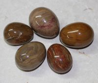 Versteinertes Holz - Ei - 2 St�ck - Aktionspreis