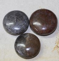 Versteinerter Saurierknochen - Disc Handschmeichler 45mm - 1 St